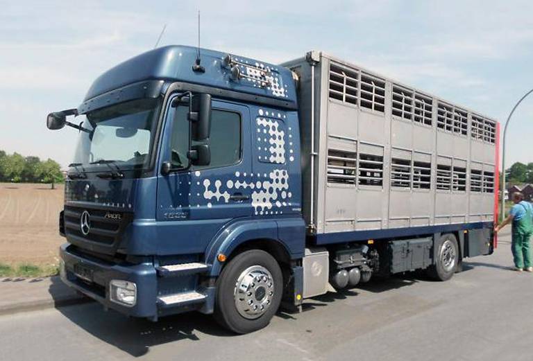 Прицеп для перевозки крупного рогатого скота из алексинского района д. симонова в алексинский район д. большой пруды